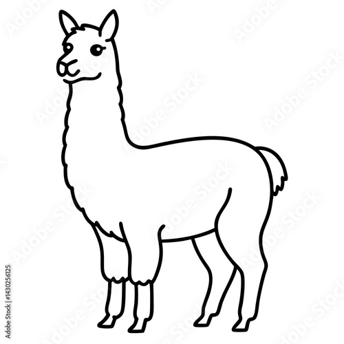 Elegant Llama Line Art Illustration