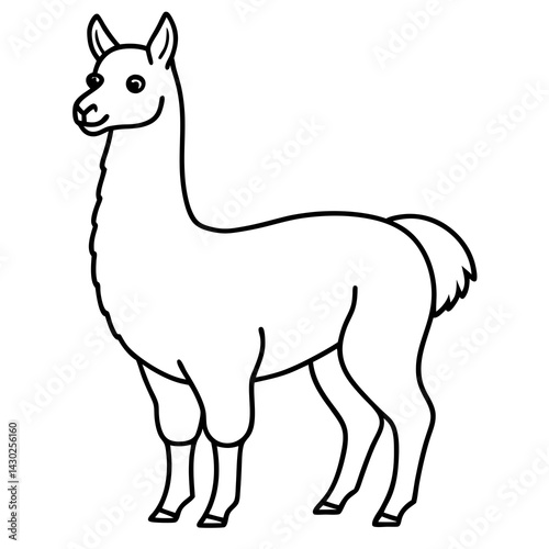 Elegant Llama Line Art Illustration