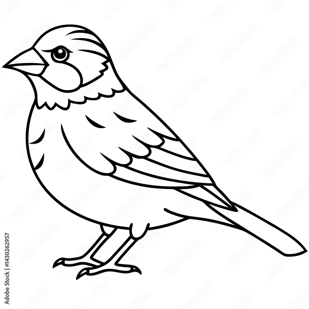 Fototapeta premium Elegant Sparrow in Single Line Art