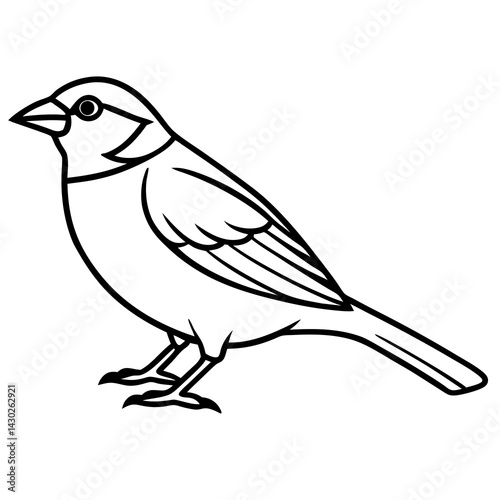 Elegant Sparrow in Single Line Art