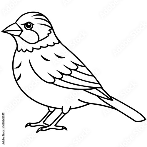 Elegant Sparrow in Single Line Art