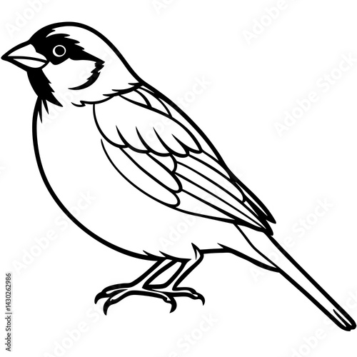 Elegant Sparrow in Single Line Art