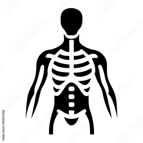 Detailed Human Anatomy Icon Line Art Health & Medical Vector Illustration on Transparent Background PNG Image  