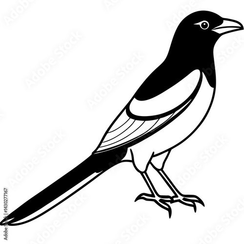 Magpie Outline Simple Vector Art