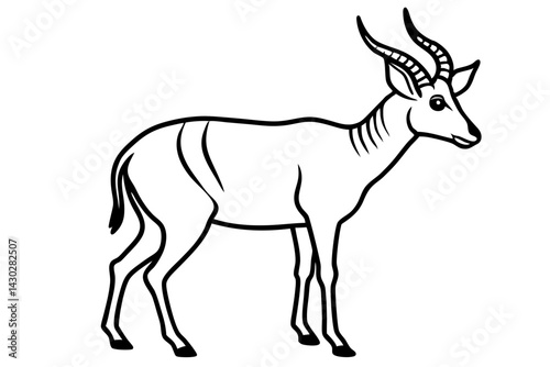 Saiga Antelope Line Drawing