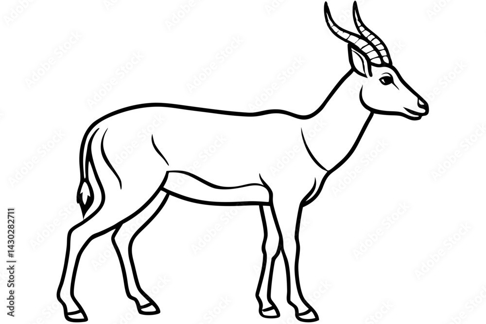 Fototapeta premium Saiga Antelope Line Drawing