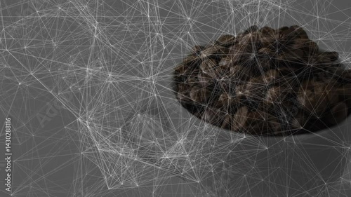 White ceramic bowl holding dark roasted coffee beans sitting beside minimalist mesh network overlay