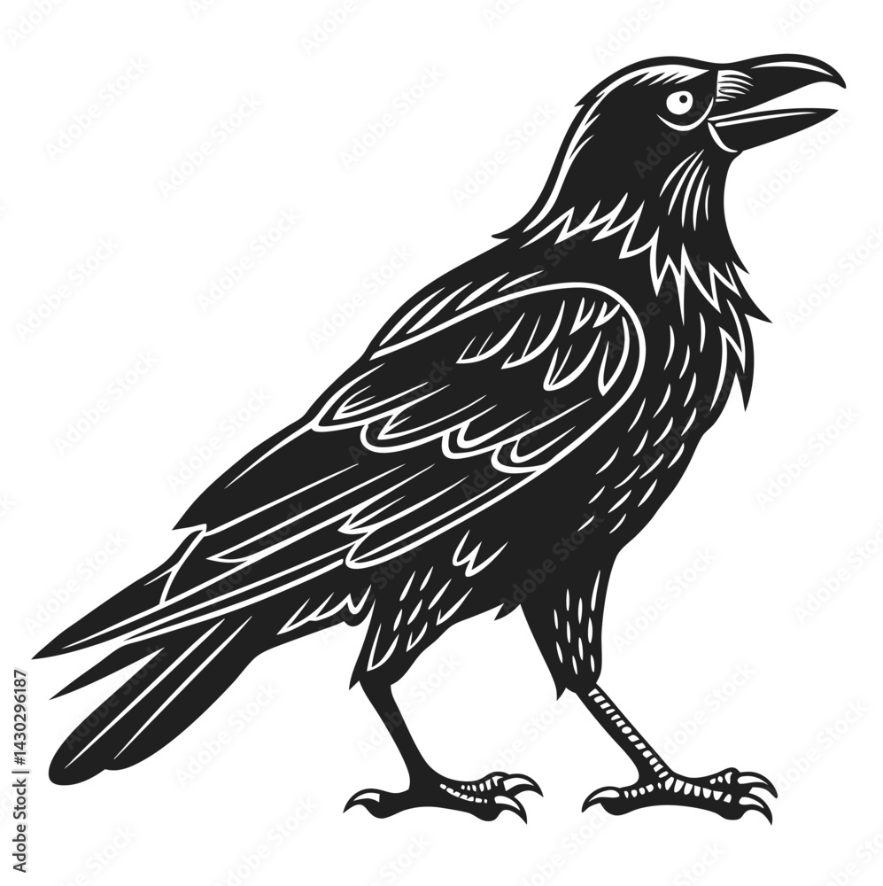 Obraz premium crow on a white background