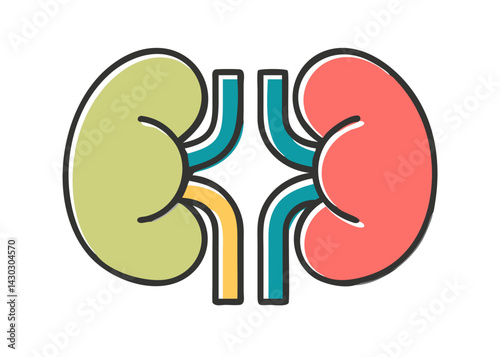 Icons of organs. kidney
