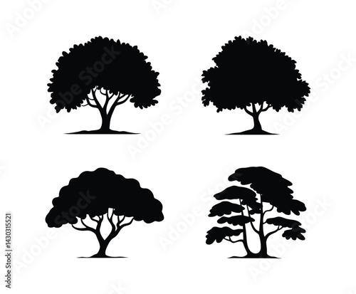 Beech Tree Silhouette Illustration EPS Isolated Template