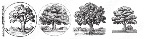 Vintage Illustrations of a Tree and Rural Landscape in Four Stages, logo design, engraving design, vector illustration