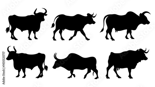 set of cow and bulls silhouette vector on white background