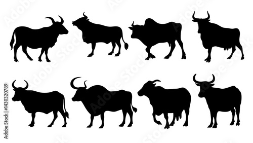 set of cow and bulls silhouette vector on white background