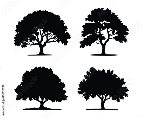 Simple Beech Tree Silhouette Icon Illustration