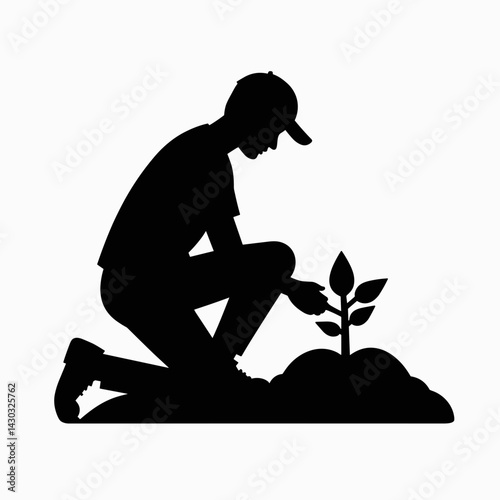 caring hands planting seedling in garden