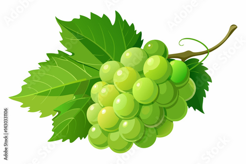 Green Grape Cluster with Vine Leaves – Photorealistic Fresh Fruit on White Background in Studio Lighting.