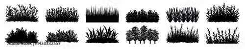 Silhouettes of diverse foliage, isolated vector set