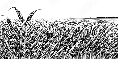 Wheat Field Black and White Illustration Woodblock Art Rural Scene