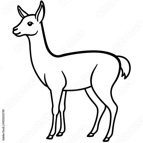 Vicuna in a Single Stroke Vector Design