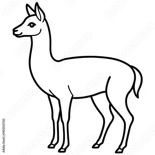 Vicuna in a Single Stroke Vector Design