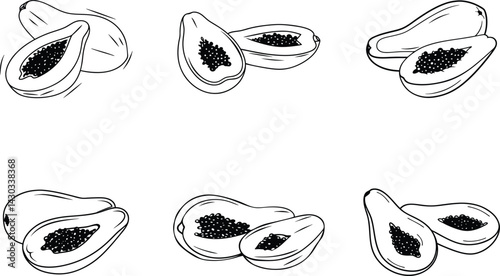 Hand drawn papaya fruit outline set illustration exotic tropical fruit