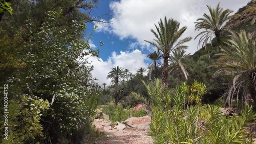 Wallpaper Mural Tropical Vegetation and Palm Trees in Aqsseri Agadir, Moroccan Highlands
 Torontodigital.ca