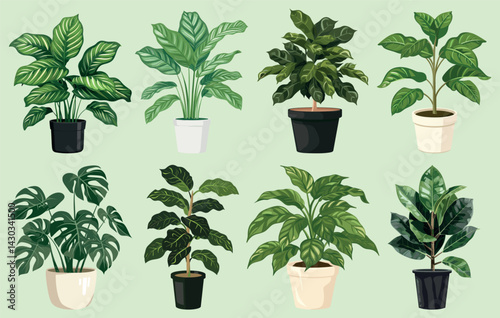Stylish potted indoor plants illustration, isolated element set vector