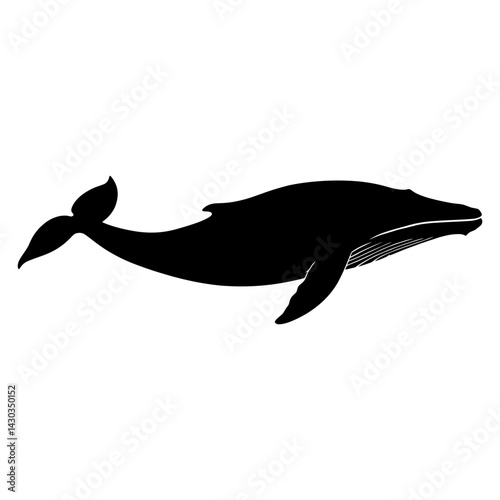 Whale silhouette illustration animal black vector
