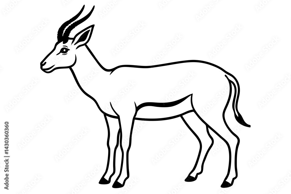 Fototapeta premium Wildlife Saiga Antelope Vector