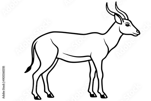 Wildlife Saiga Antelope Vector