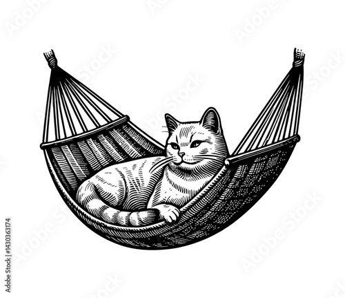 Cat Relaxing in Hammock Outdoor on Summer Day Enjoying Leisure Time