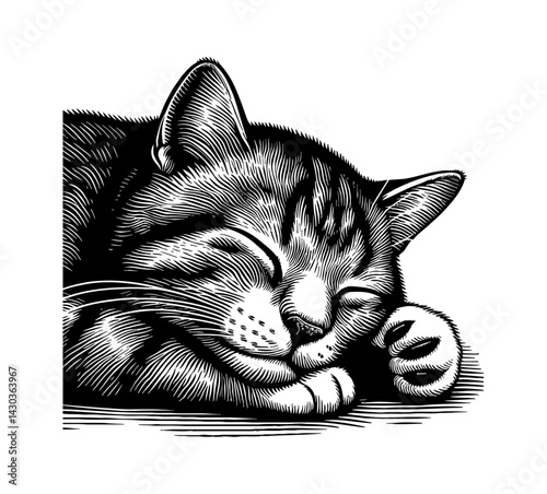 Cute Cat Sleeping Peacefully Relaxing and Resting, Adorable Kitten Dream, Comfort