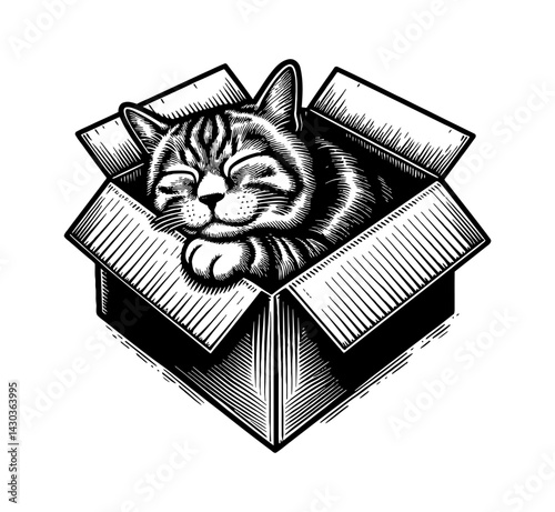 Cute Tabby Cat Sleeping Peacefully Curled Up and Relaxing Indoors Comfortably