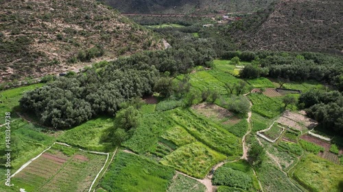 Aerial View of Lush Green Fields and Traditional Farmland in Aqsseri, Agadir