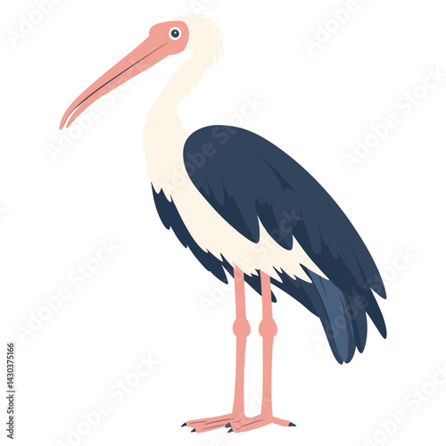 Vector illustration of Marabou Stork stork bird art vector
