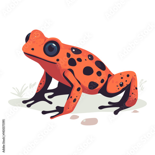 Illustration of Poison Dart Frog frog amphibian wildlife vector