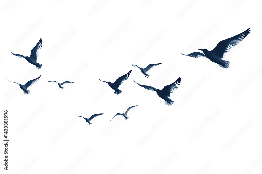 Fototapeta premium Flock of Birds Flying Against a Blue Sky Background in Formation