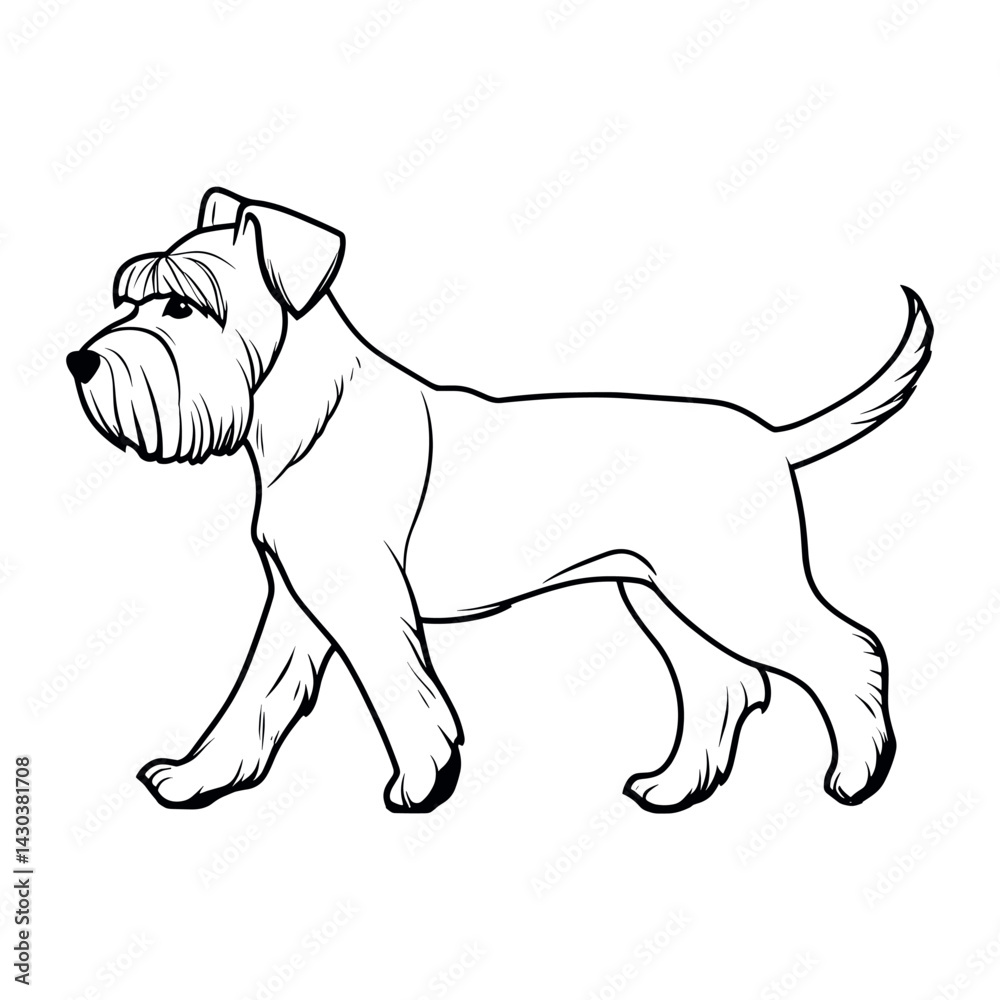 Fototapeta premium Miniature schnauzer dog drawing art walking vector