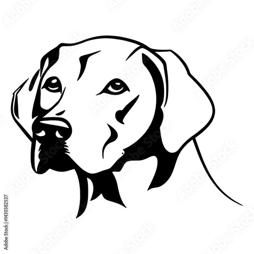 Collection portrait dog animal canine illustration vector