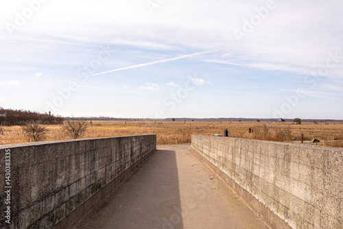Long pedestrian pathway through natural fields in Copenhagen, with concrete borders and vanishing perspective, ideal for conceptual use in movement or solitude themes.