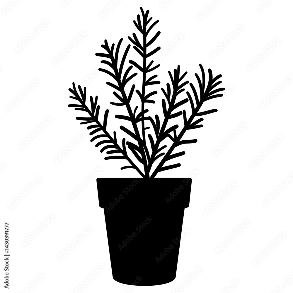 Fototapeta premium Potted plant with rosemary silhouette potted black vector