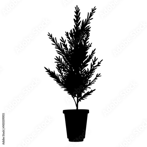 Potted plant with cypress tree silhouette pot potted vector