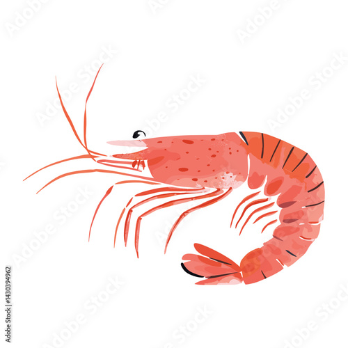 Cute shrimp illustration seafood animal invertebrate vector