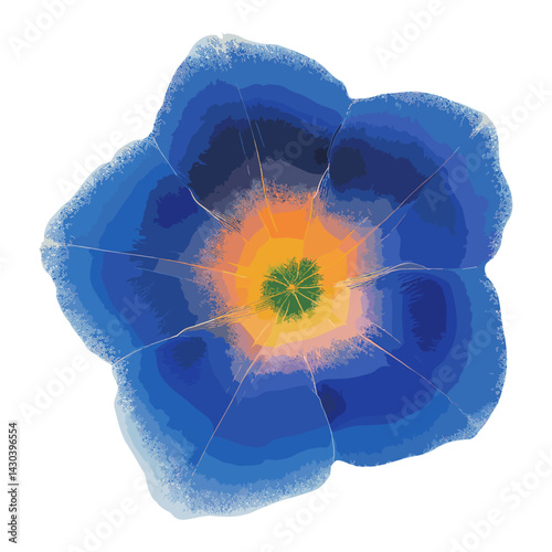 A morning glory flower illustration geranium artistic vector