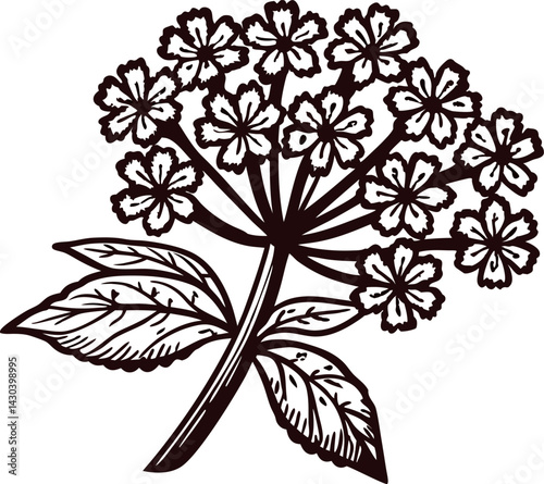 Intricate botanical of flowering plant with leaves in black and white design.