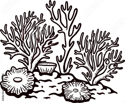 Detailed line art of coral reefs with varied marine flora on a white background