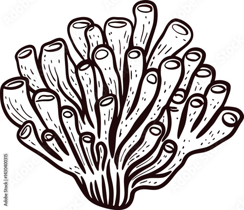 Detailed black and white coral showcasing marine biodiversity and oceanic beauty