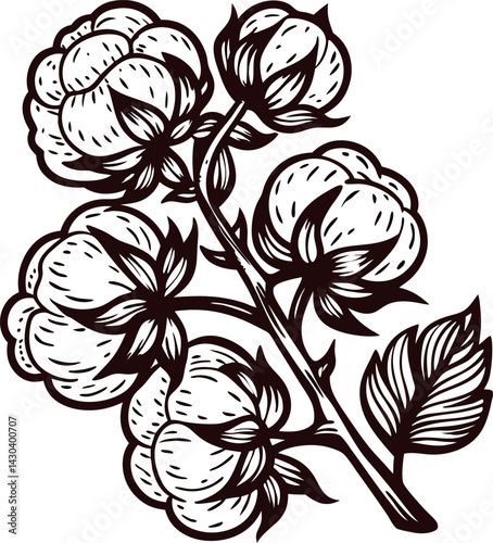 of a cotton plant with detailed blossoms and leaves.