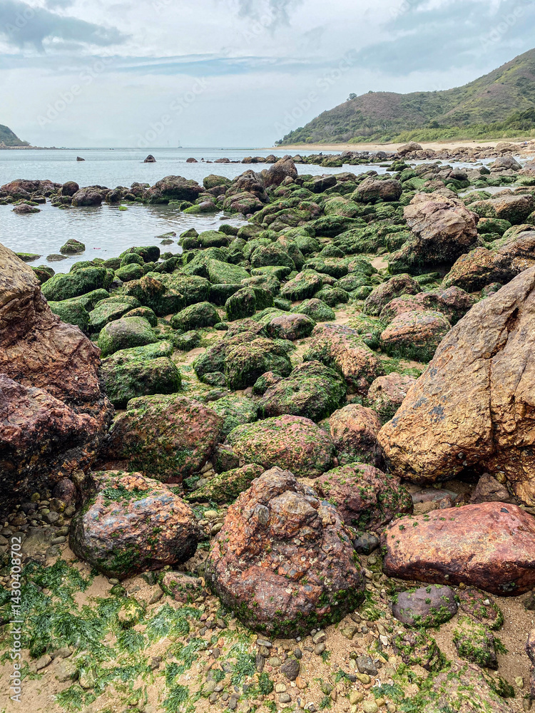 Rocky Beach with Green Algae and Overcast Sky