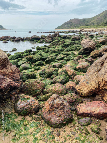 Obraz na płótnie Rocky Beach with Green Algae and Overcast Sky w salonie